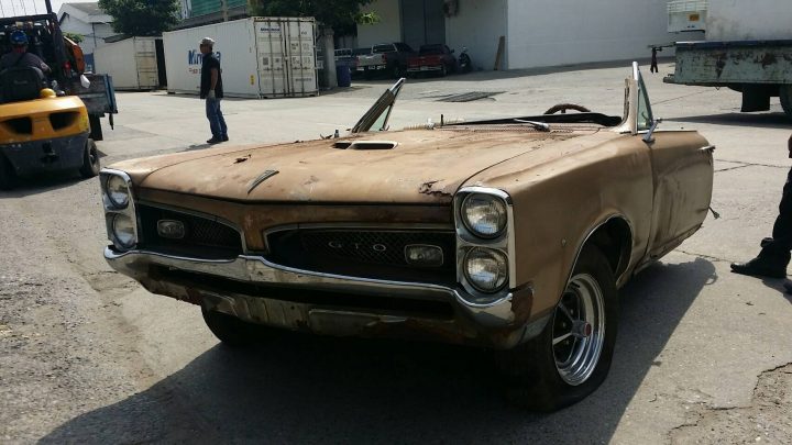 GTO back on shape